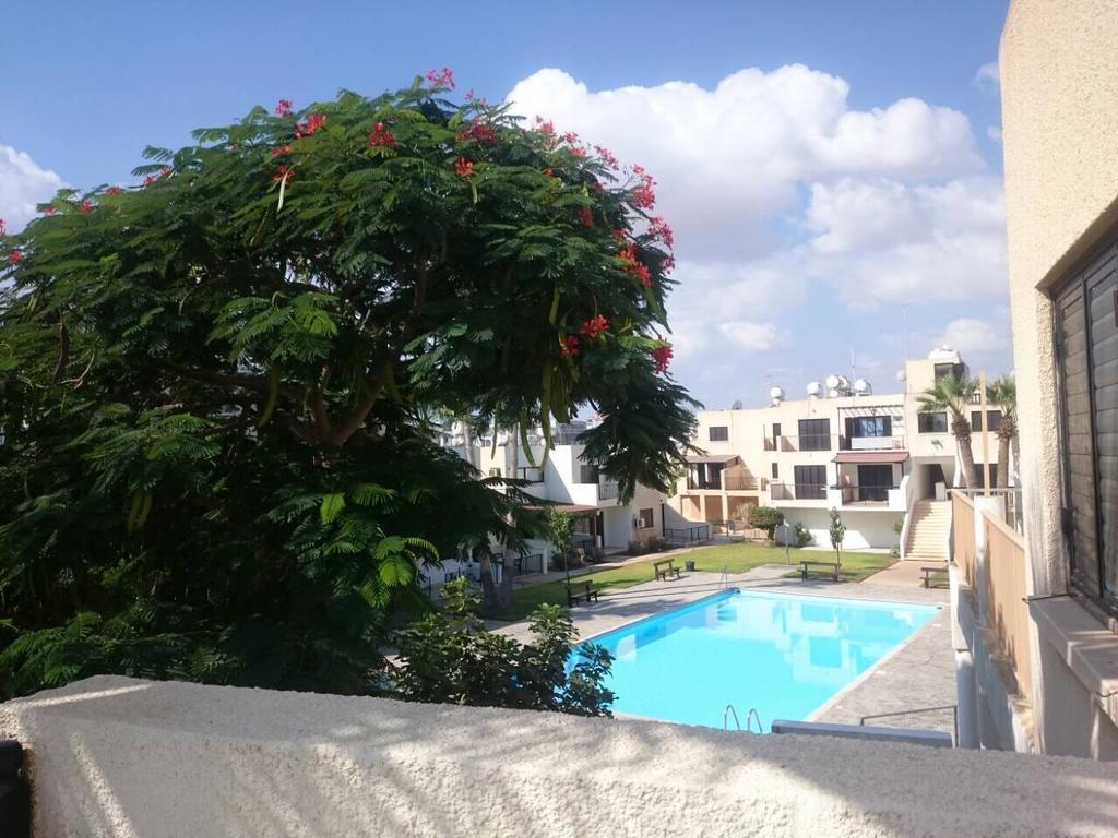 Theodoros Apt. 408 โปรทาราส ภายนอก รูปภาพ