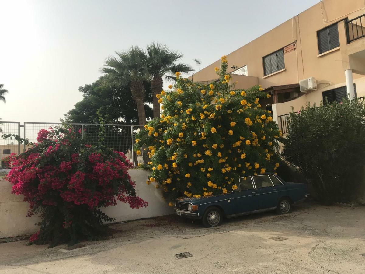 Theodoros Apt. 408 โปรทาราส ภายนอก รูปภาพ